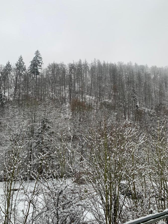 Ferienhaus Andrea Am Bodetal Treseburg 外观 照片