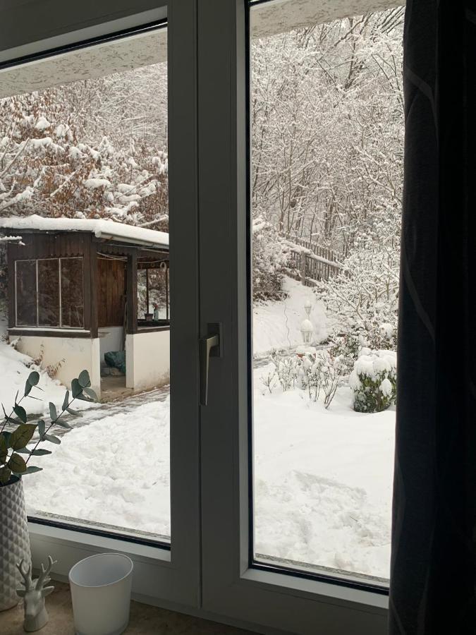 Ferienhaus Andrea Am Bodetal Treseburg 外观 照片