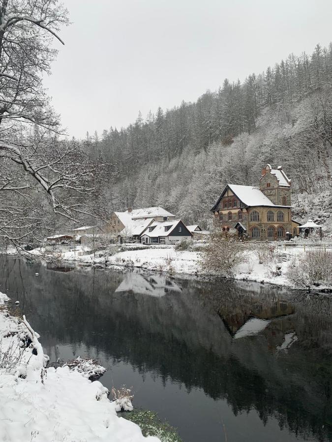 Ferienhaus Andrea Am Bodetal Treseburg 外观 照片